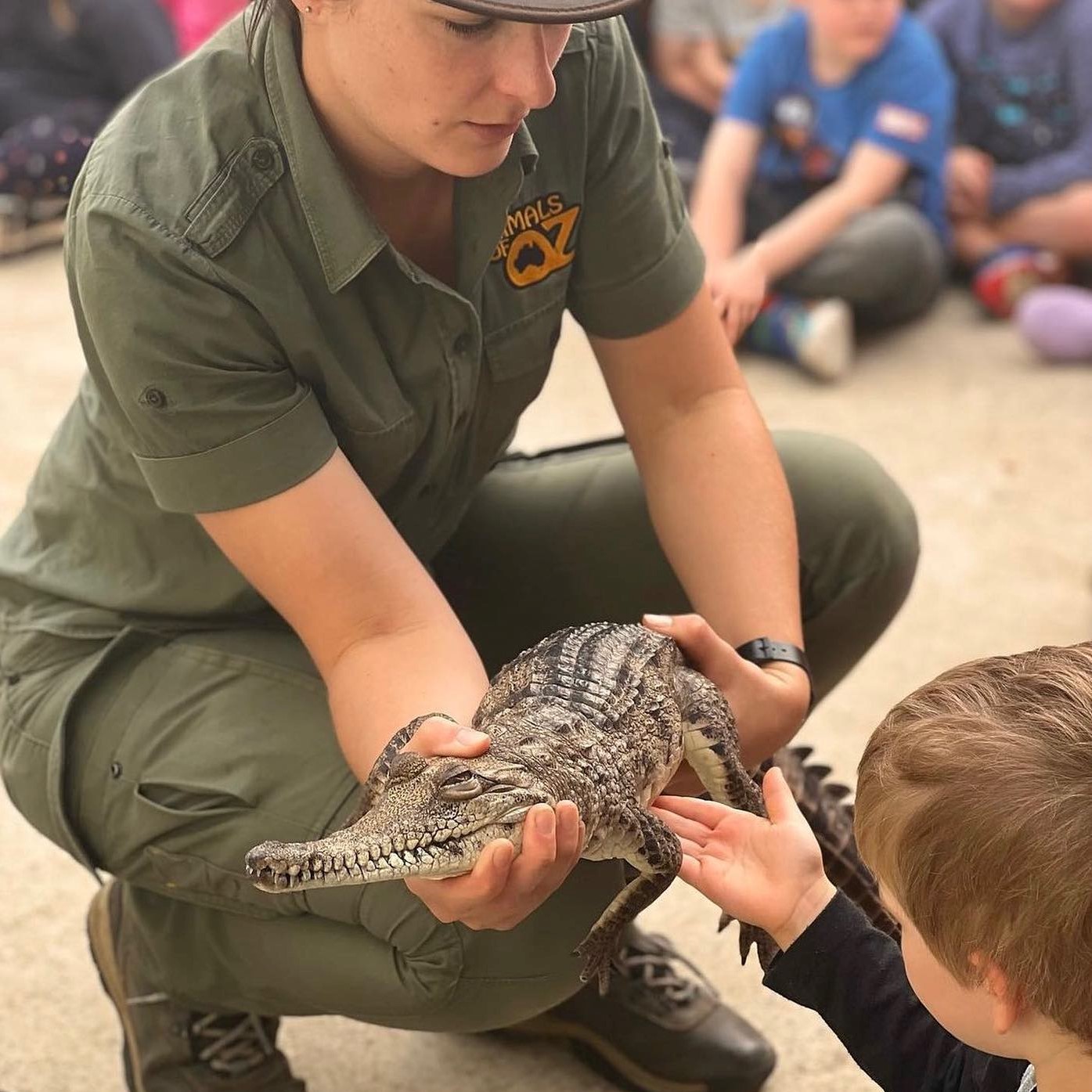 Child patting crocodile