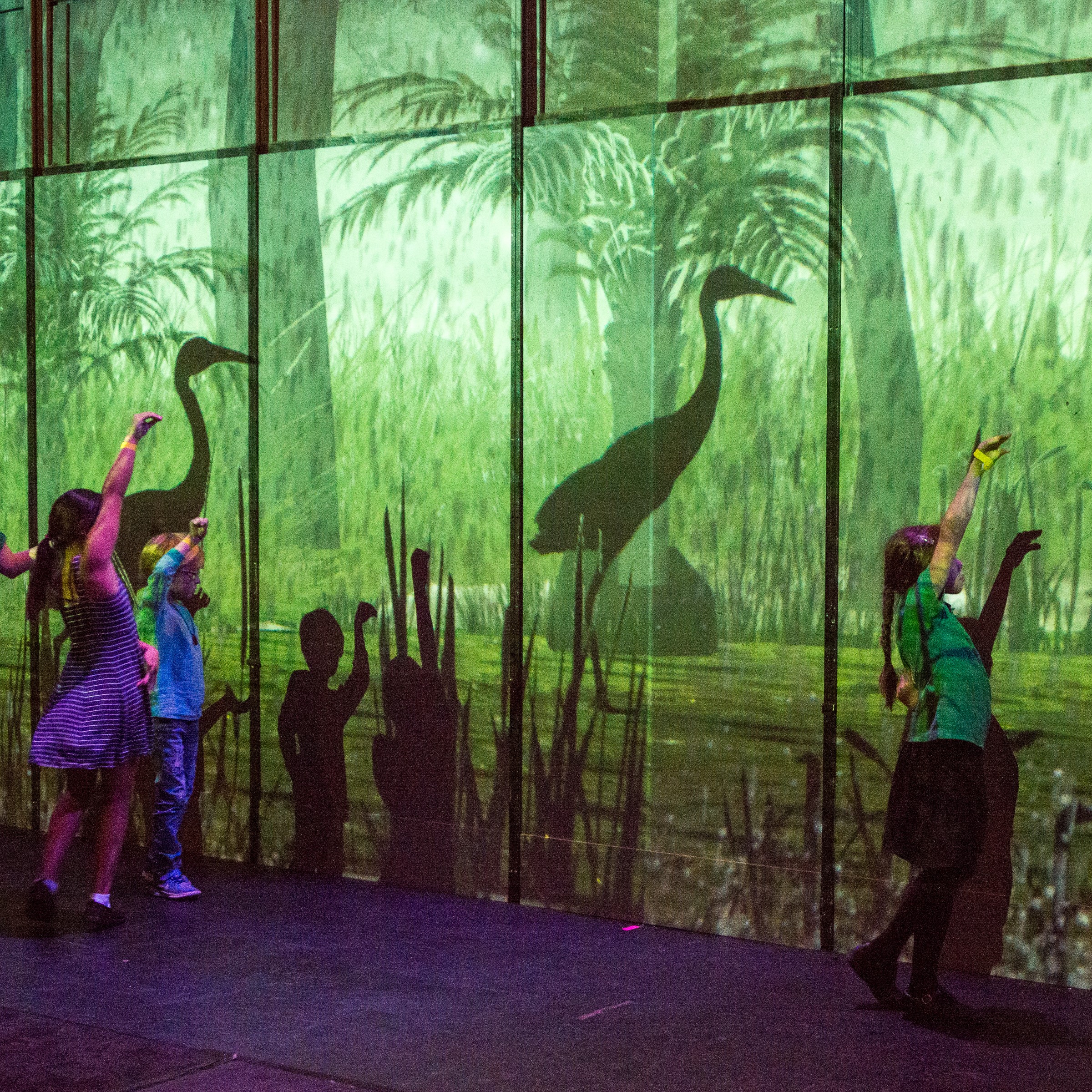 interactive art exhibition