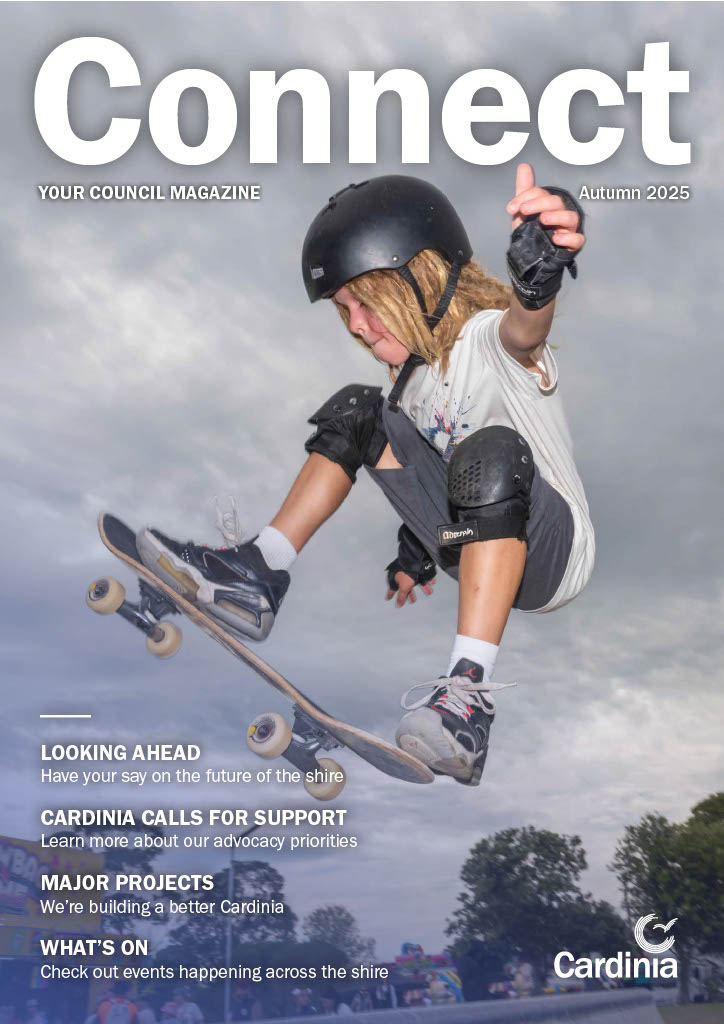 Child wearing skate gear riding a skateboard