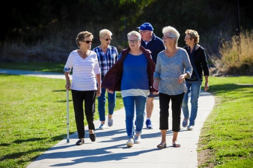 A group of seniors walking near wetlands