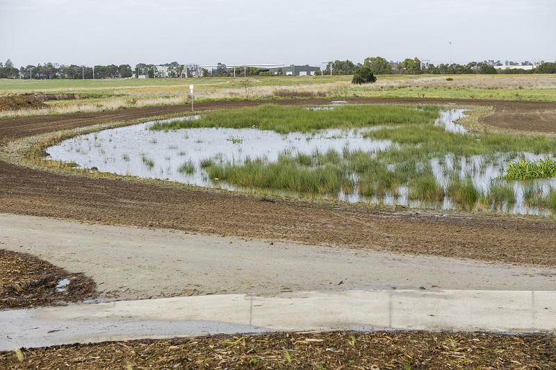 Wetlands and paths are next to Deep Creek