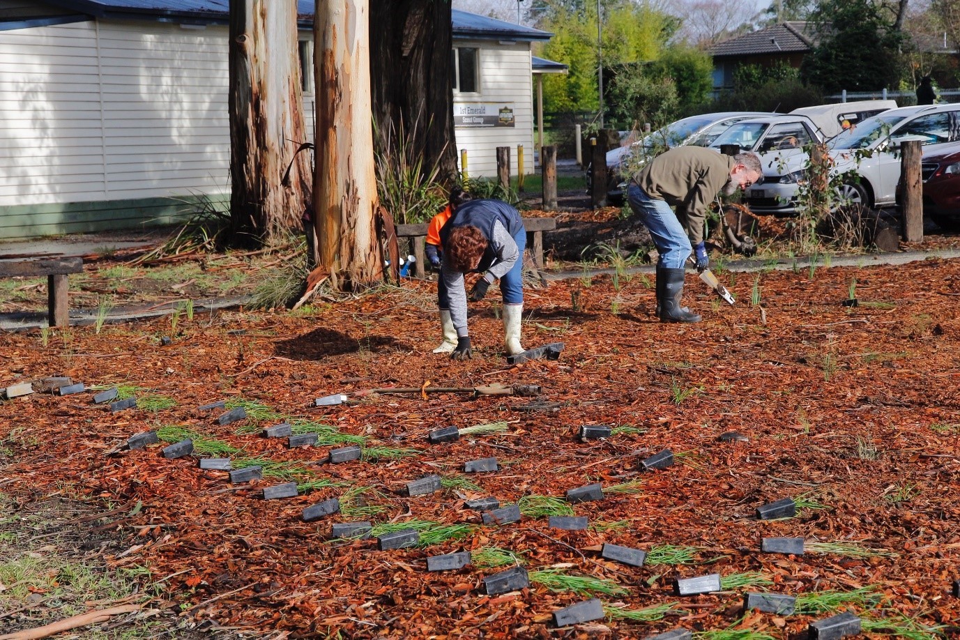 Beautification of a park.