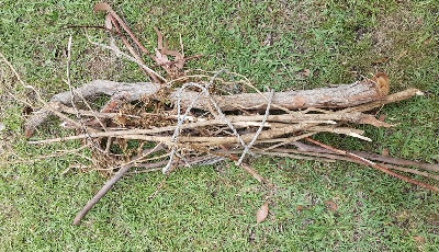 Branches tied together should be put in pile 2.